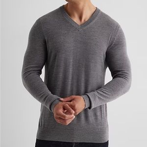 Express Merino Wool V neck Sweater